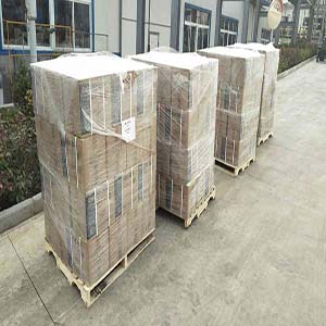 Ascorbic Acid