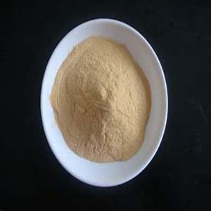 Choline Chloride 